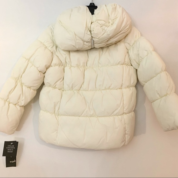 DKNY Puffy Coat